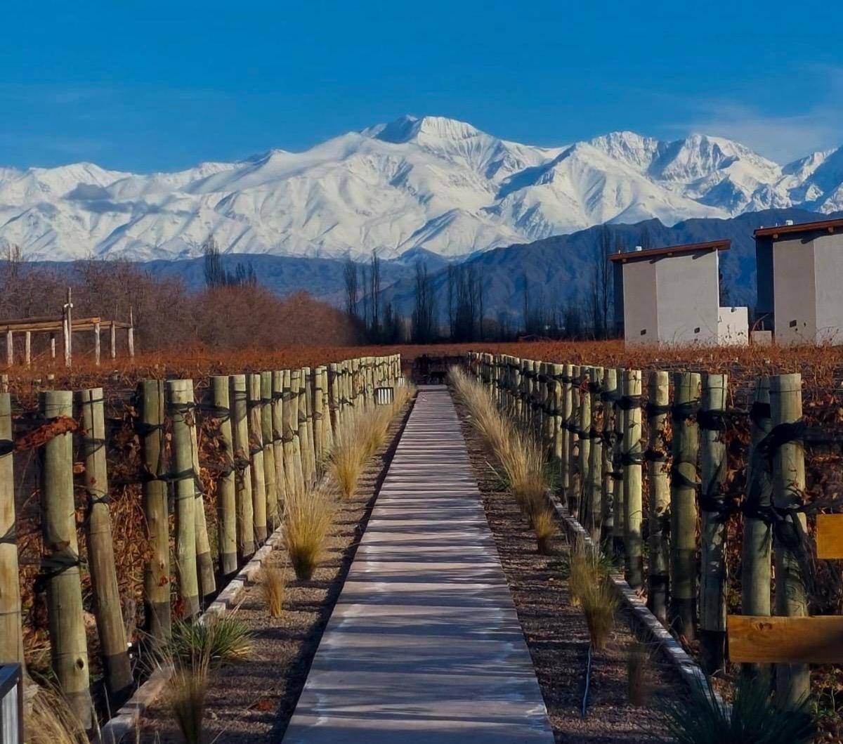 Agrelo Vines Lodge Dış mekan fotoğraf