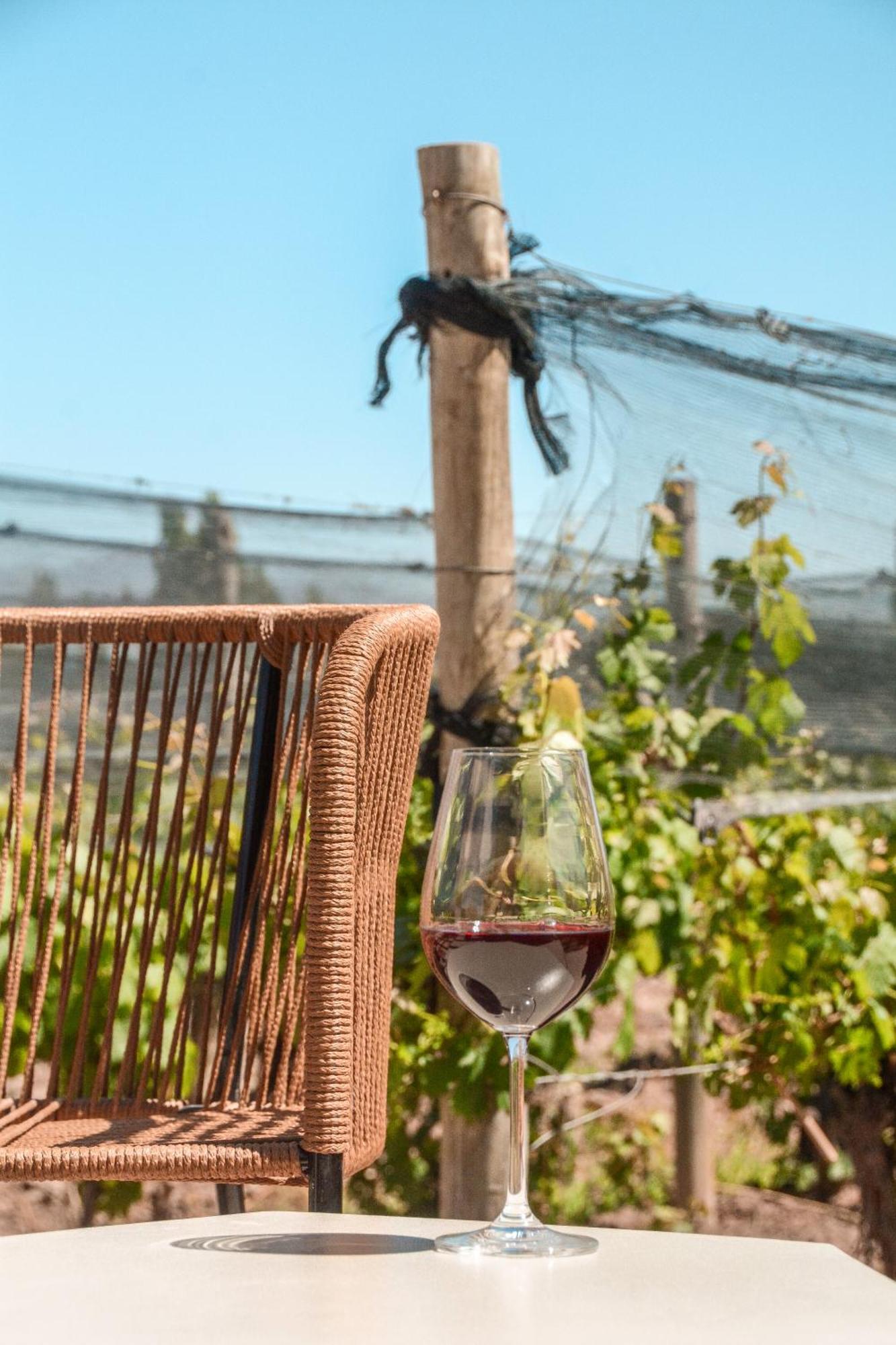 Agrelo Vines Lodge Dış mekan fotoğraf
