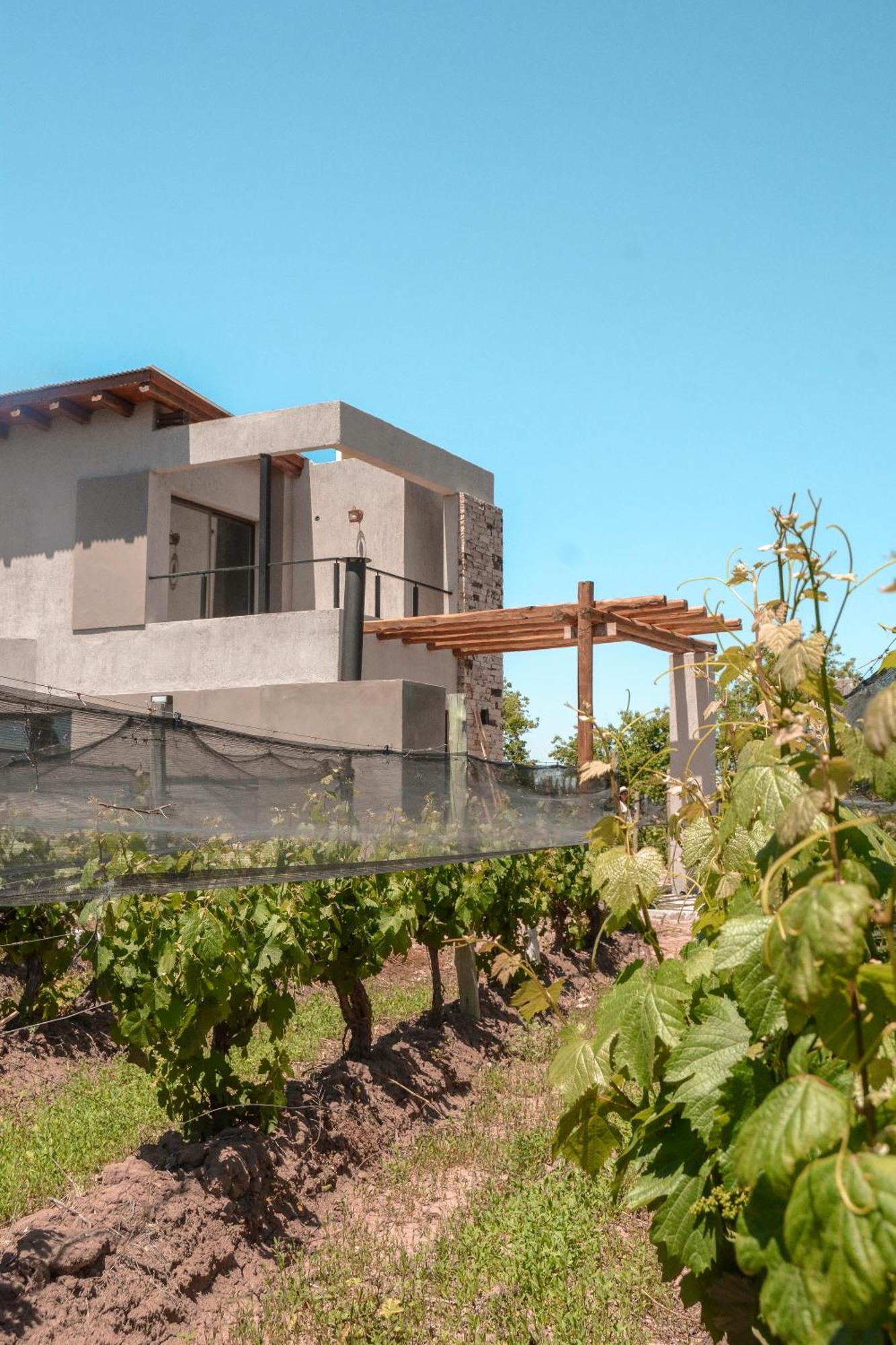 Agrelo Vines Lodge Dış mekan fotoğraf