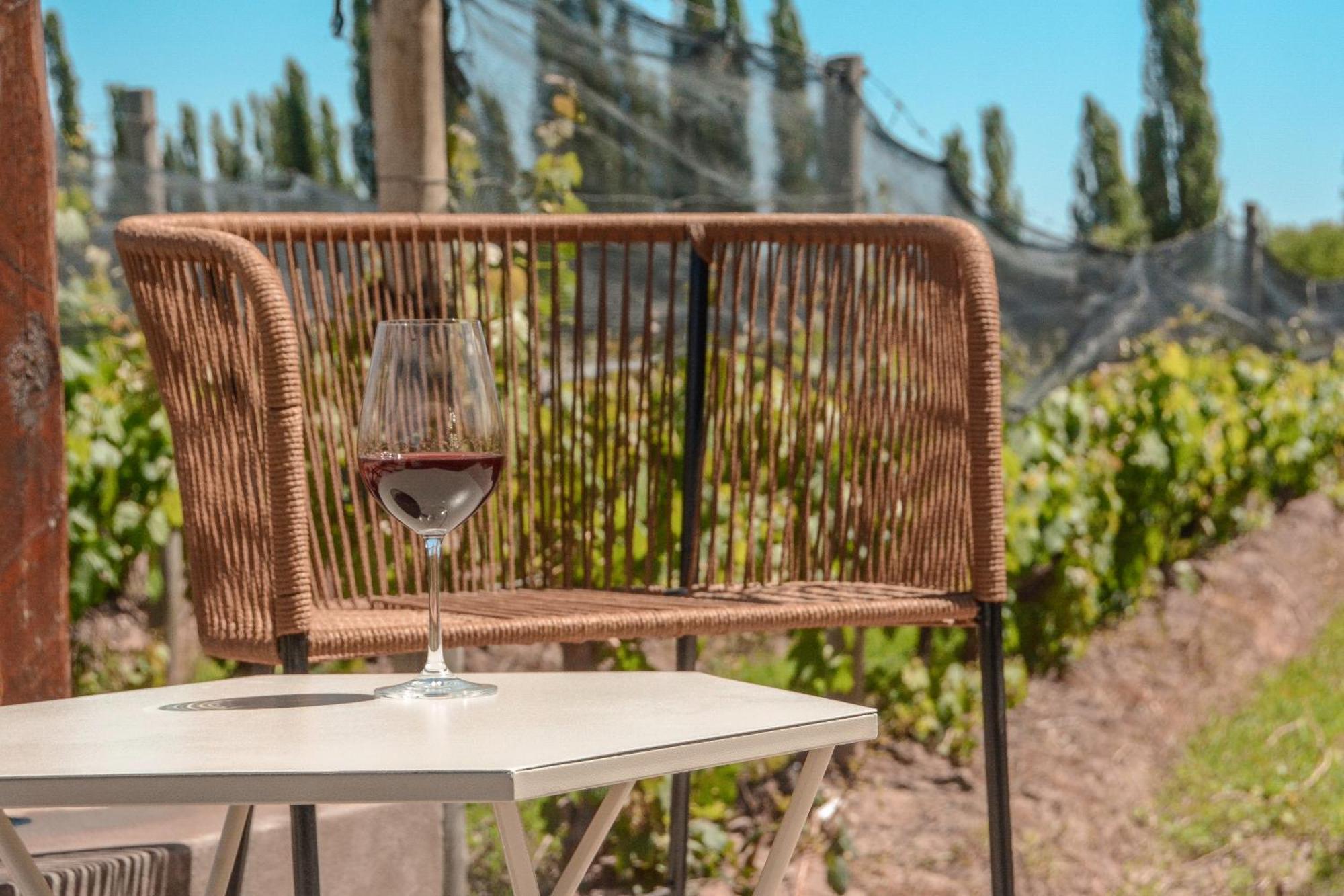Agrelo Vines Lodge Dış mekan fotoğraf