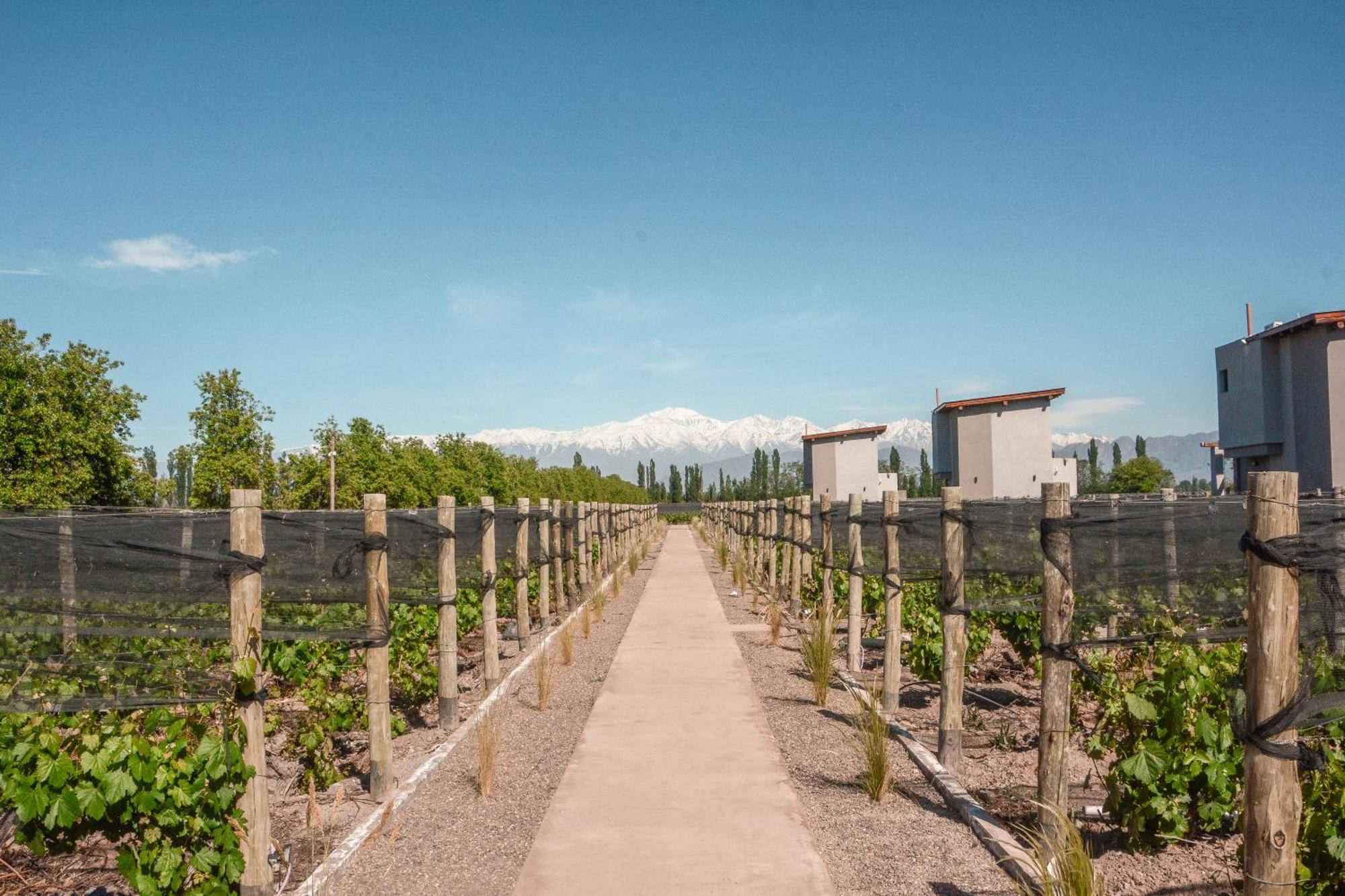 Agrelo Vines Lodge Dış mekan fotoğraf
