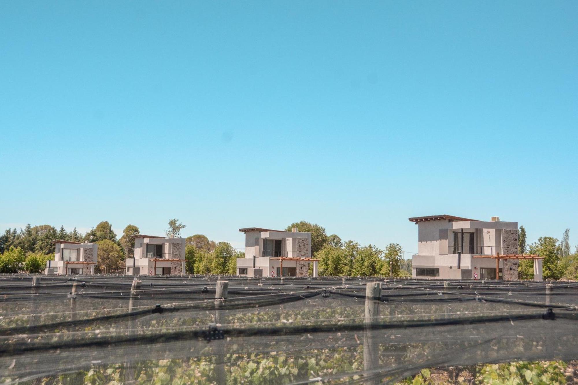 Agrelo Vines Lodge Dış mekan fotoğraf