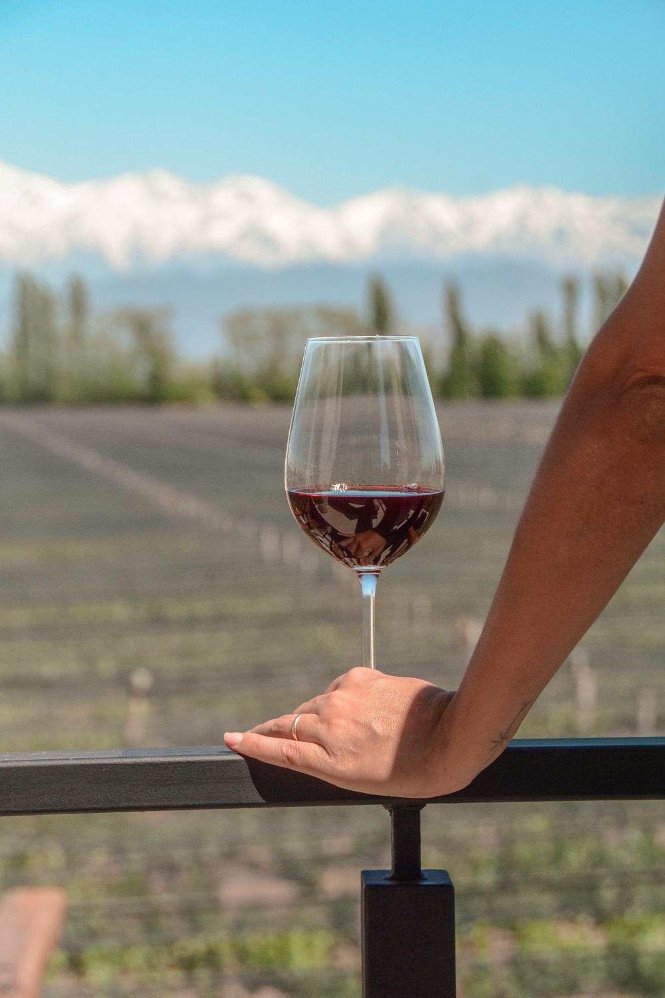 Agrelo Vines Lodge Dış mekan fotoğraf