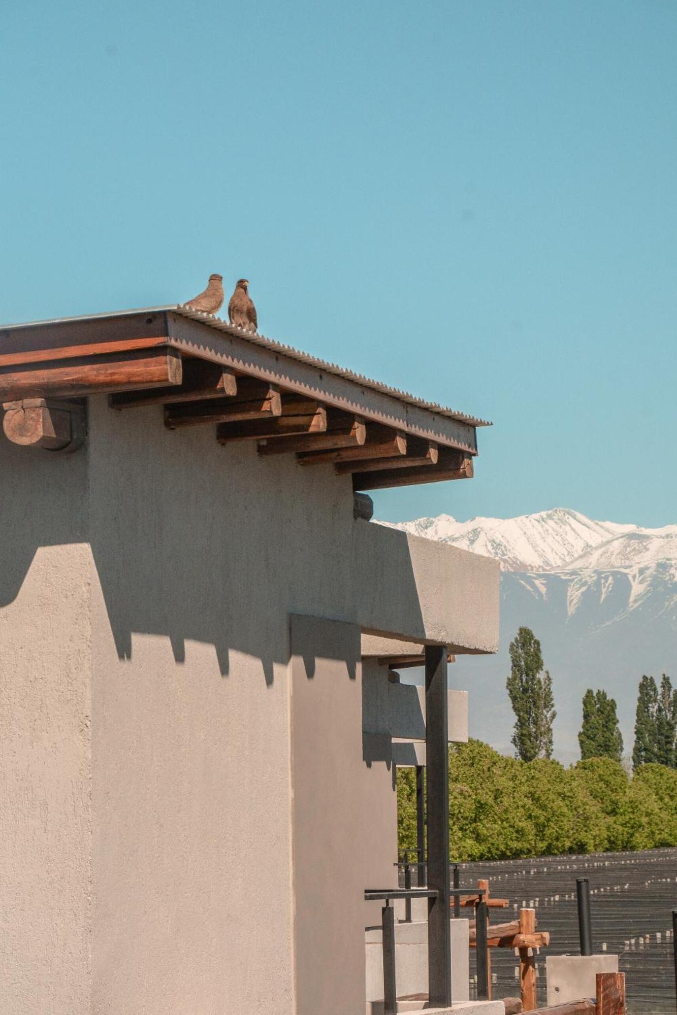 Agrelo Vines Lodge Dış mekan fotoğraf