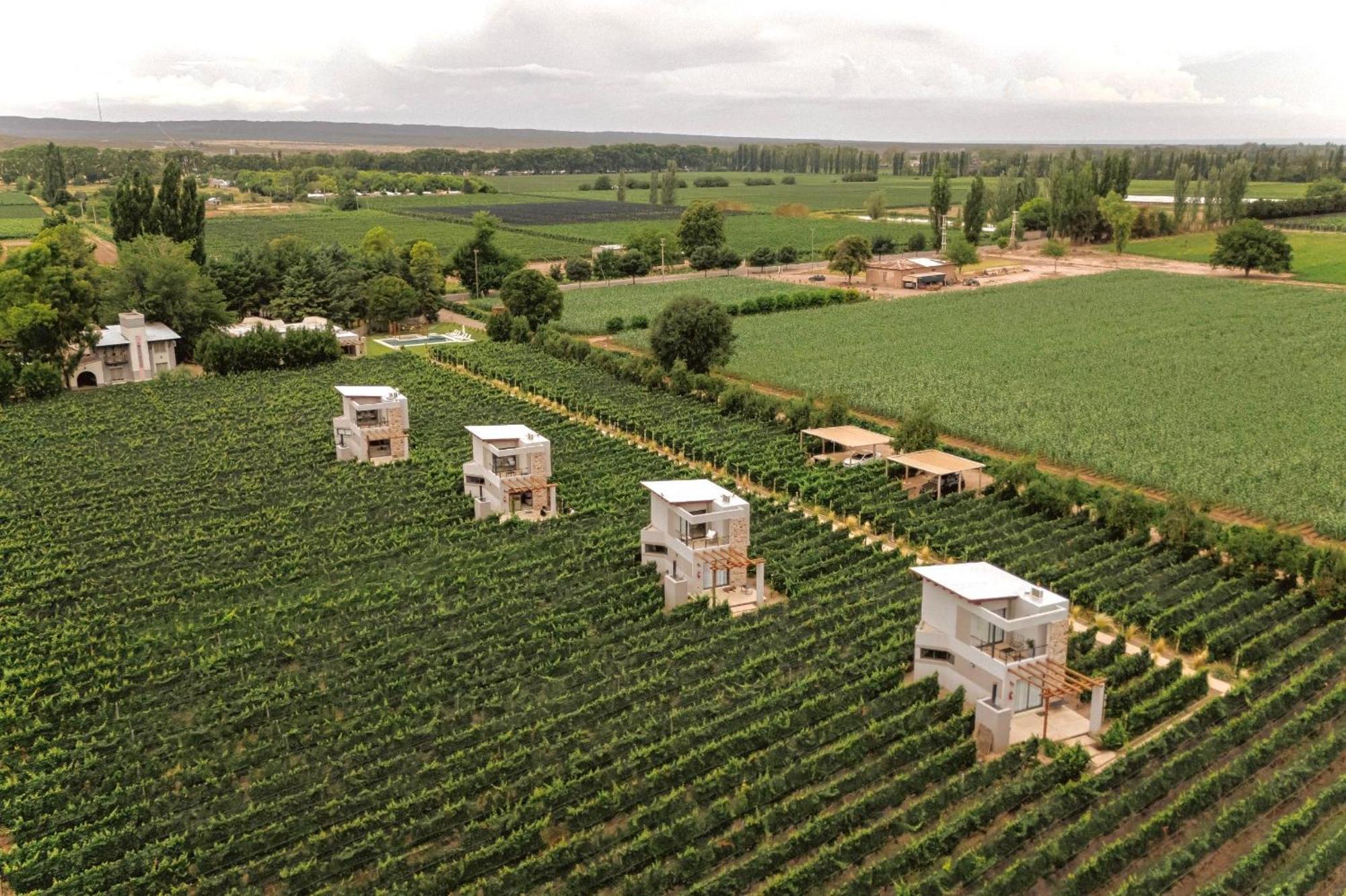 Agrelo Vines Lodge Dış mekan fotoğraf